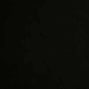 Meet your Posher, Lexy